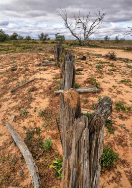 Orta Avustralya 'da bulutlu bir günde bir tarlada kesilen ağaç dallarının dikey görüntüsü.