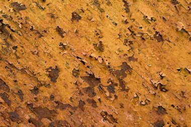 Soyut arkaplan illüstrasyonuna bir göz atın, modern hipster fraktal alev grafiği. Renkli sürreal poster, afiş