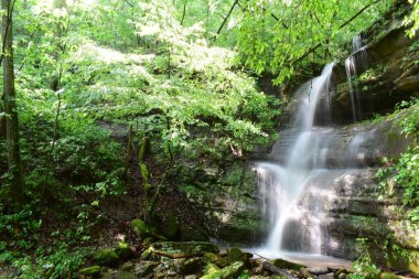 Gün ışığında bitkilerle çevrili küçük bir şelalenin yakın çekimi.