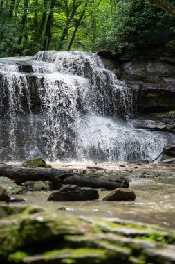 Arka planda yeşil yemyeşil ağaçlarla kaplı kayalık oluşumlarla kaplı güzel bir şelale.