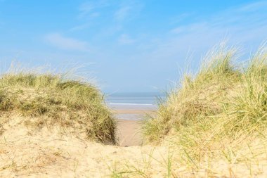 Güneşli kumsalın kum tepesinden bir manzara.