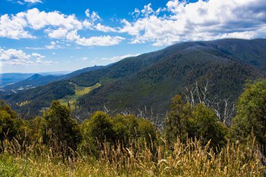Mavi bulutlu gökyüzünün altında dağları ve ormanı olan güzel yeşil bir manzara.