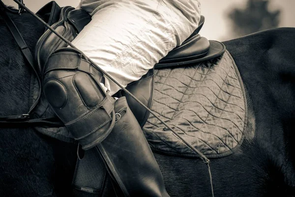 A closeup shot of a polo player at Kirtlington Polo club saddled and ready to play.