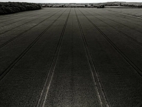 Een Schilderachtige Grijswaarden Opname Van Een Agrarisch Veld — Stockfoto