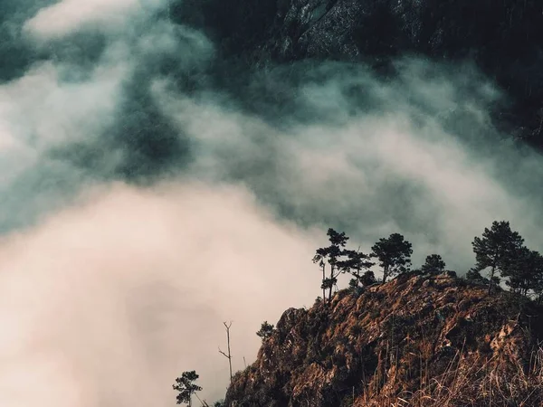 Μια Εκπληκτική Λήψη Βουνών Καλυμμένη Ομίχλη — Φωτογραφία Αρχείου