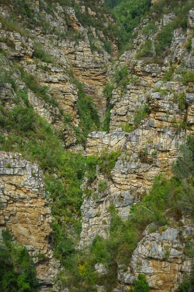 Primer Plano Rocas Líquenes Bajo Puente Bloukrans — Foto de Stock