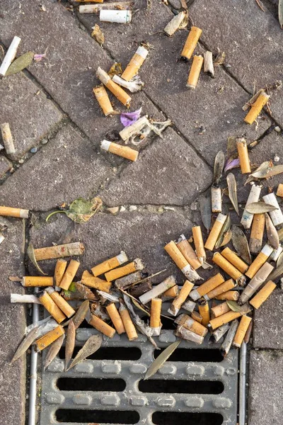 Hague Netherlands October 2021 Discarded Smoked Cigarette Butts Dumped Street — Stock Photo, Image