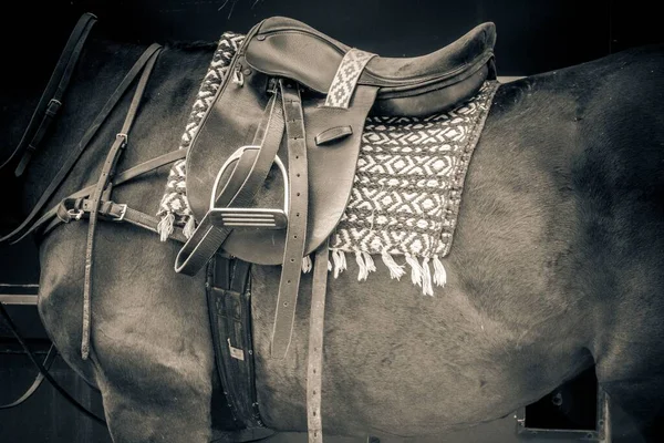Stylizowane Zbliżenie Kucyka Polo Osiodłanego Gotowego Drogi — Zdjęcie stockowe