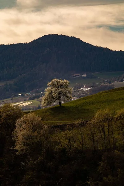 Eine Vertikale Aufnahme Einer Wunderschönen Landschaft Mit Bewaldeten Bergen — Stockfoto