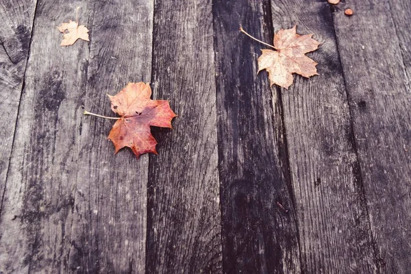 Bladeren Herfst Stoep Buiten — Stockfoto