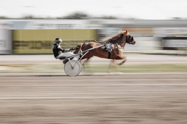 Het Harnas Racen Oulu Finland Paardensport — Stockfoto