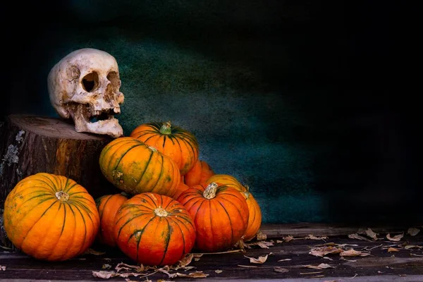 Halloween Dekoration Hintergrund Mit Kürbissen Und Menschlichem Totenkopf — Stockfoto