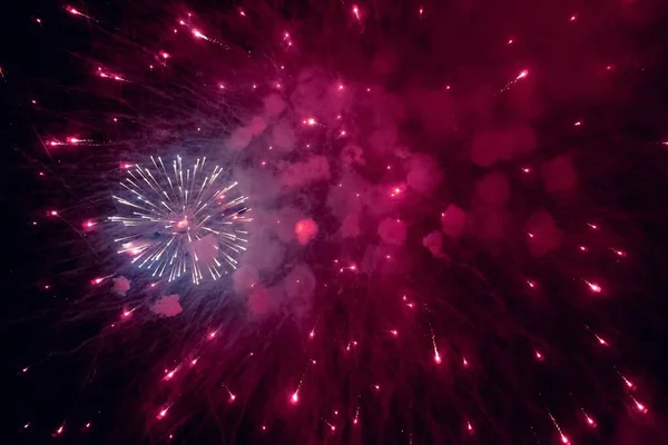 The display of pink bright fireworks against in the night sky