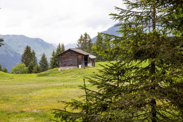 Casa Rodeada Por Árvores Nas Encostas Verdes Das Montanhas Vale — Fotografia de Stock