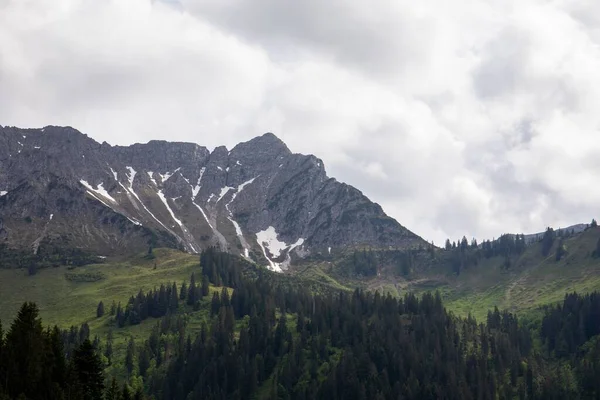 曇り空の下で谷の山の緑の斜面に木々 — ストック写真