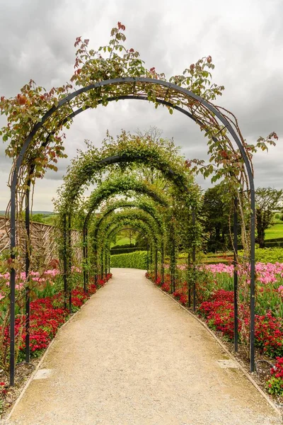 Plano Vertical Arcos Florales Rodeados Coloridas Flores Jardín — Foto de Stock