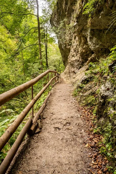 Sentier Avec Clôture Bois Dans Gorge Vintgar Slovénie — Photo