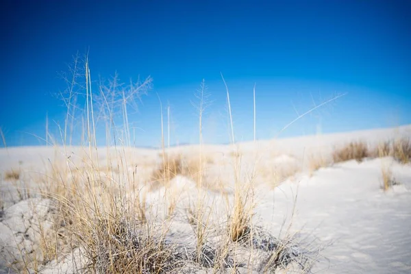 White Sands Στο Νέο Μεξικό — Φωτογραφία Αρχείου