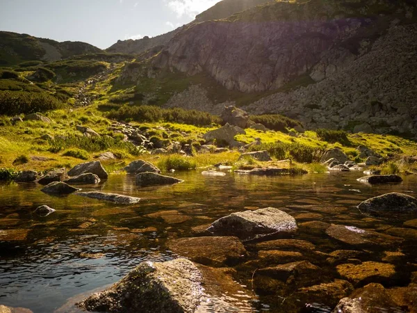 Härlig Utsikt Över Stenig Bäck Omgiven Stenig Klippa Ett Lummigt — Stockfoto