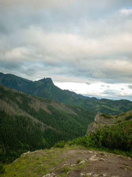 Une Vue Verticale Forêts Montagne Luxuriantes Avec Beau Ciel Nuageux — Photo