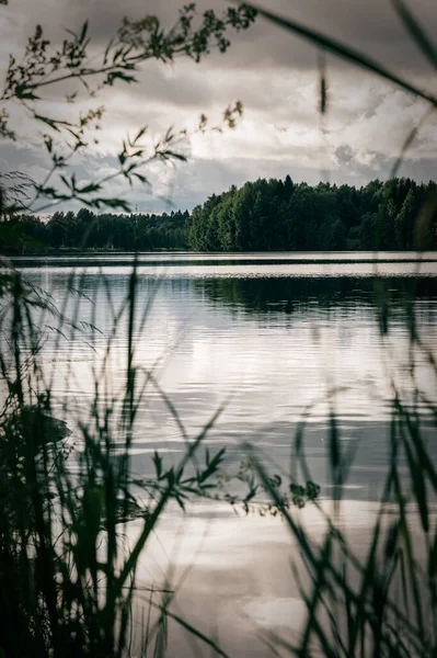 Uma Bela Paisagem Vertical Lago Com Floresta Verde — Fotografia de Stock