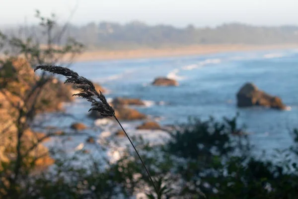 加利福尼亚Mckcinleyville的海洋景观 — 图库照片