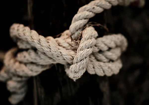 Closeup Knotted Rope — Stock Photo, Image