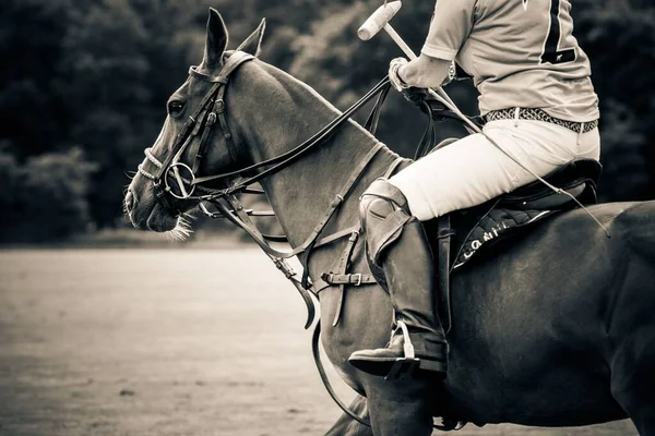 グラウンドマン カップの間の女性ポロ選手のミッドゲームの様式化された編集 Kirtlington Polo Club — ストック写真