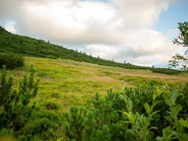 Widok Krajobrazu Bujnej Zielonej Zalesionej Okolicy Pięknymi Chmurami Tle — Zdjęcie stockowe