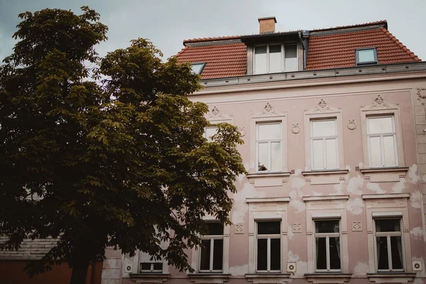 Ένα Όμορφο Αισθητικό Σπίτι Παστέλ Ροζ Χρώμα Κοντά Ένα Πράσινο — Φωτογραφία Αρχείου