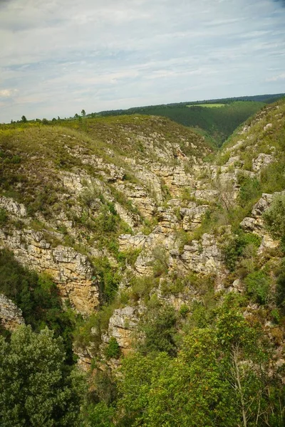 Plan Vertical Rochers Lichen Sous Pont Bloukrans — Photo