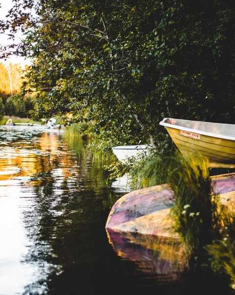 Eine Vertikale Aufnahme Bemalter Boote Einem Teich Mit Laub — Stockfoto