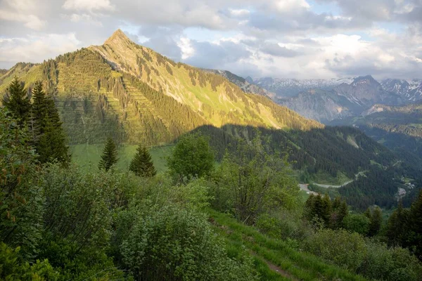 Het Uitzicht Bergen Bedekt Met Groene Bomen Gras Een Zonnige — Stockfoto