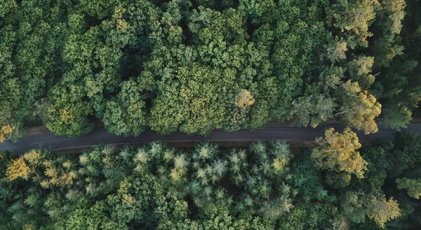 Close Aerial View Lonely Road Crossing Beautiful Forest Travel Concept — Stock Photo, Image