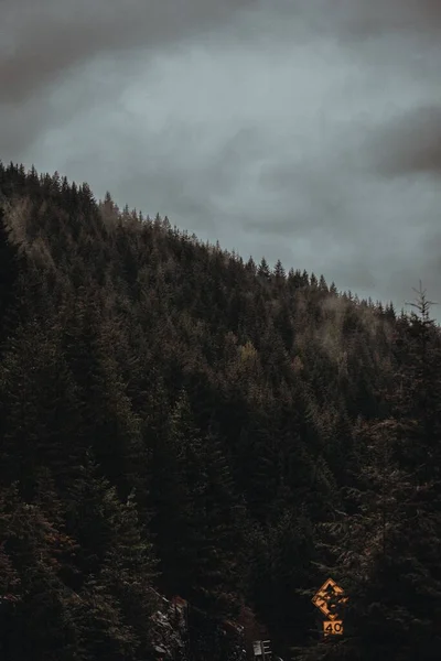 Tiro Vertical Uma Floresta Sob Céu Escuro Tempestuoso Nas Cascatas — Fotografia de Stock
