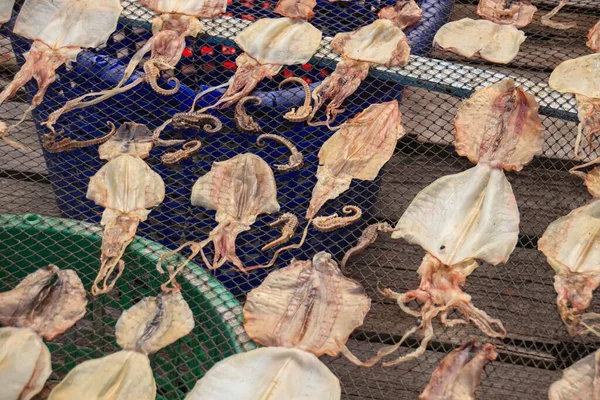 Güneş Kuruyan Mürekkep Balıkları Kamboçya Geleneksel Yiyecekler Güneydoğu Asya Nın — Stok fotoğraf