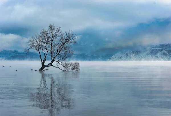 Una Vista Panorámica Las Aguas Cristalinas Del Lago Wanaka Isla —  Fotos de Stock