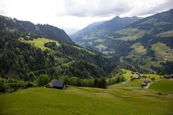 Het Uitzicht Groene Hellingen Van Vallei Met Bomen Onder Bewolkte — Stockfoto