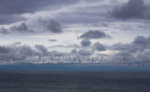 Beautiful View Sea Cloudy Sky Birds — Stock Photo, Image