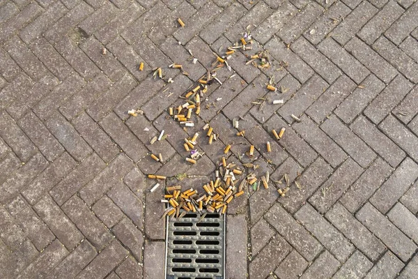 Haag Nederländerna Oktober 2021 Kasserade Rökta Cigarettfimpar Dumpade Gatan Nära — Stockfoto