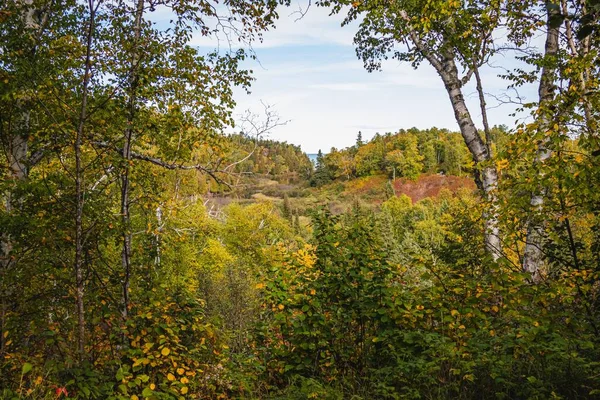 Autumn Scene Gooseberry Falls State Park Minnesota — Stock Photo, Image