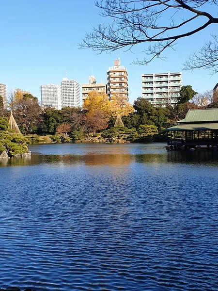 東京都港区 東京都 の神戸の建物の垂直ショット — ストック写真