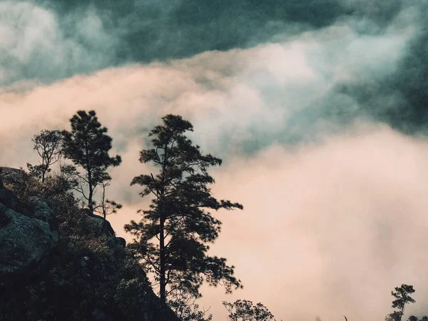 Impresionante Disparo Montañas Cubiertas Niebla —  Fotos de Stock