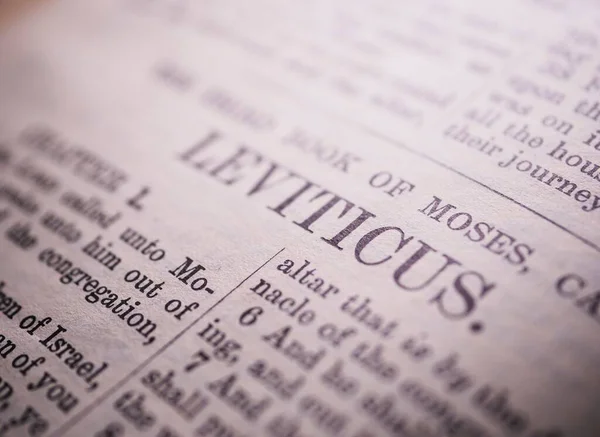 Close Old English Antique Holy Bible — Stock Photo, Image