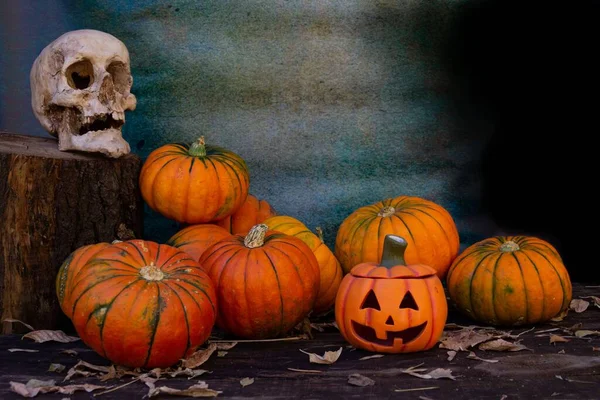 Halloween Dekoration Hintergrund Mit Kürbissen Und Menschlichem Totenkopf — Stockfoto