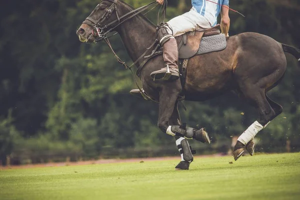 オックスフォードシャーのカートリントン公園で試合中のポロ選手で 背景に木があります — ストック写真