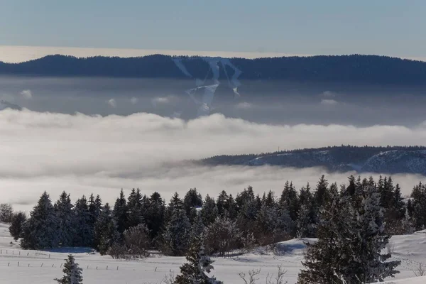 Een Berg Rots Bomen Bedekt Met Sneeuw Tijdens Winter — Stockfoto