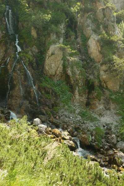 Tiro Vertical Cachoeiras Furiosas Cercadas Por Árvores — Fotografia de Stock
