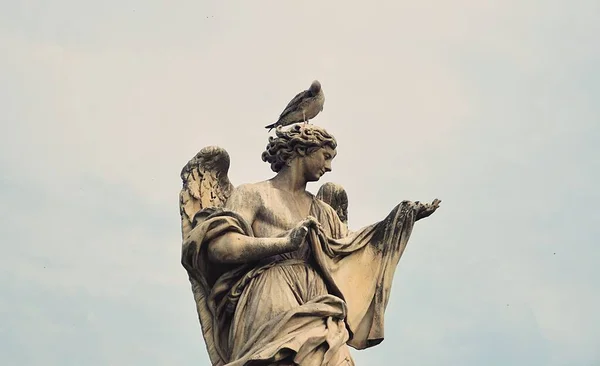 이탈리아 로마의 아름다운 조각품에 비둘기의 — 스톡 사진