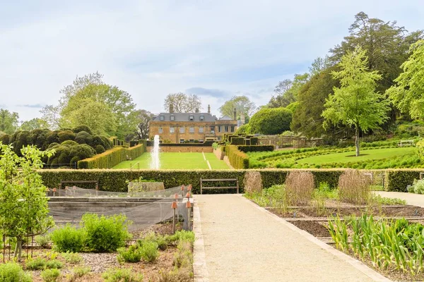 Hermoso Parque Con Diferentes Plantas Durante Día — Foto de Stock